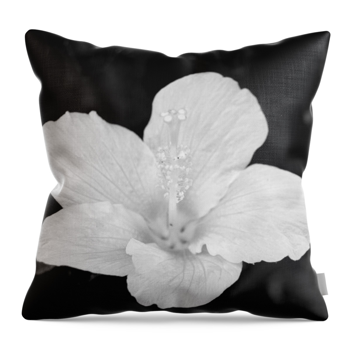 Flower Throw Pillow featuring the photograph Black and White Hibiscus 3 by Amy Fose