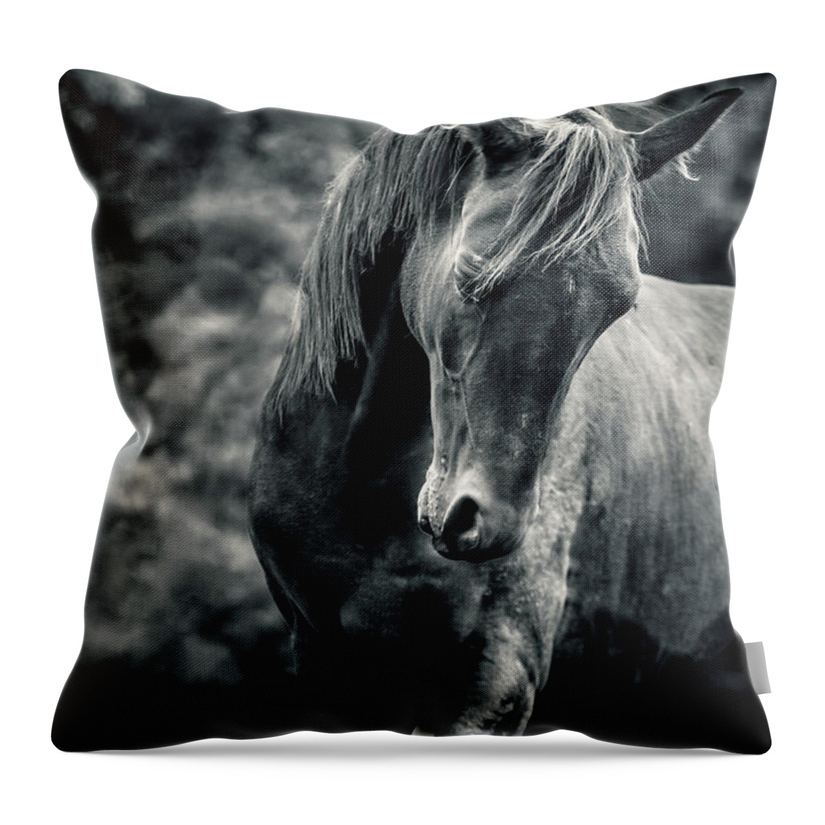 Horse Throw Pillow featuring the photograph Black and white portrait of horse by Dimitar Hristov