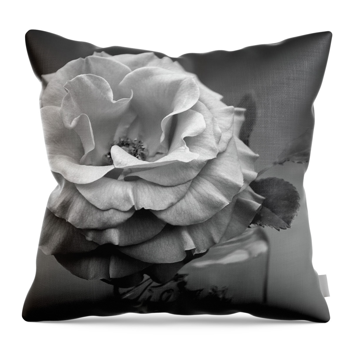 Rose Throw Pillow featuring the photograph Black and White Rose Antique Mason Jar by Kathy Anselmo
