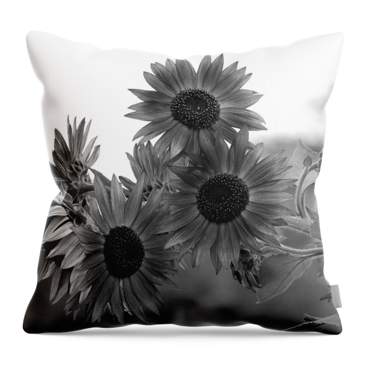 Flower Throw Pillow featuring the photograph Black and White Sunflowers by Amy Fose