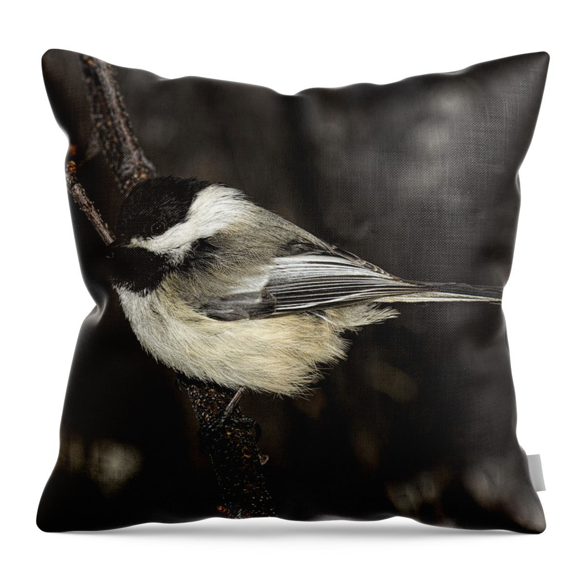 Bird Throw Pillow featuring the photograph Black-Capped Chickadee by Fred Denner