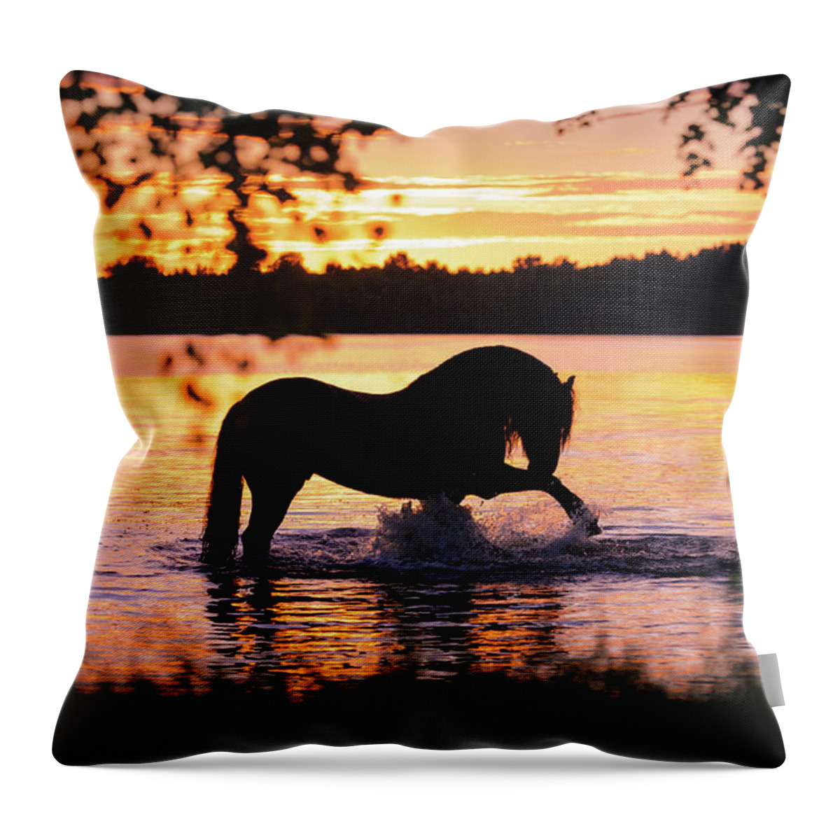 Russian Artists New Wave Throw Pillow featuring the photograph Black Horse Bathing in Sunset River by Ekaterina Druz