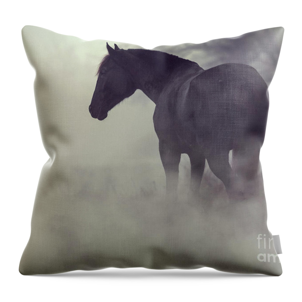 Horse Throw Pillow featuring the photograph Black horse in the dark mist by Dimitar Hristov
