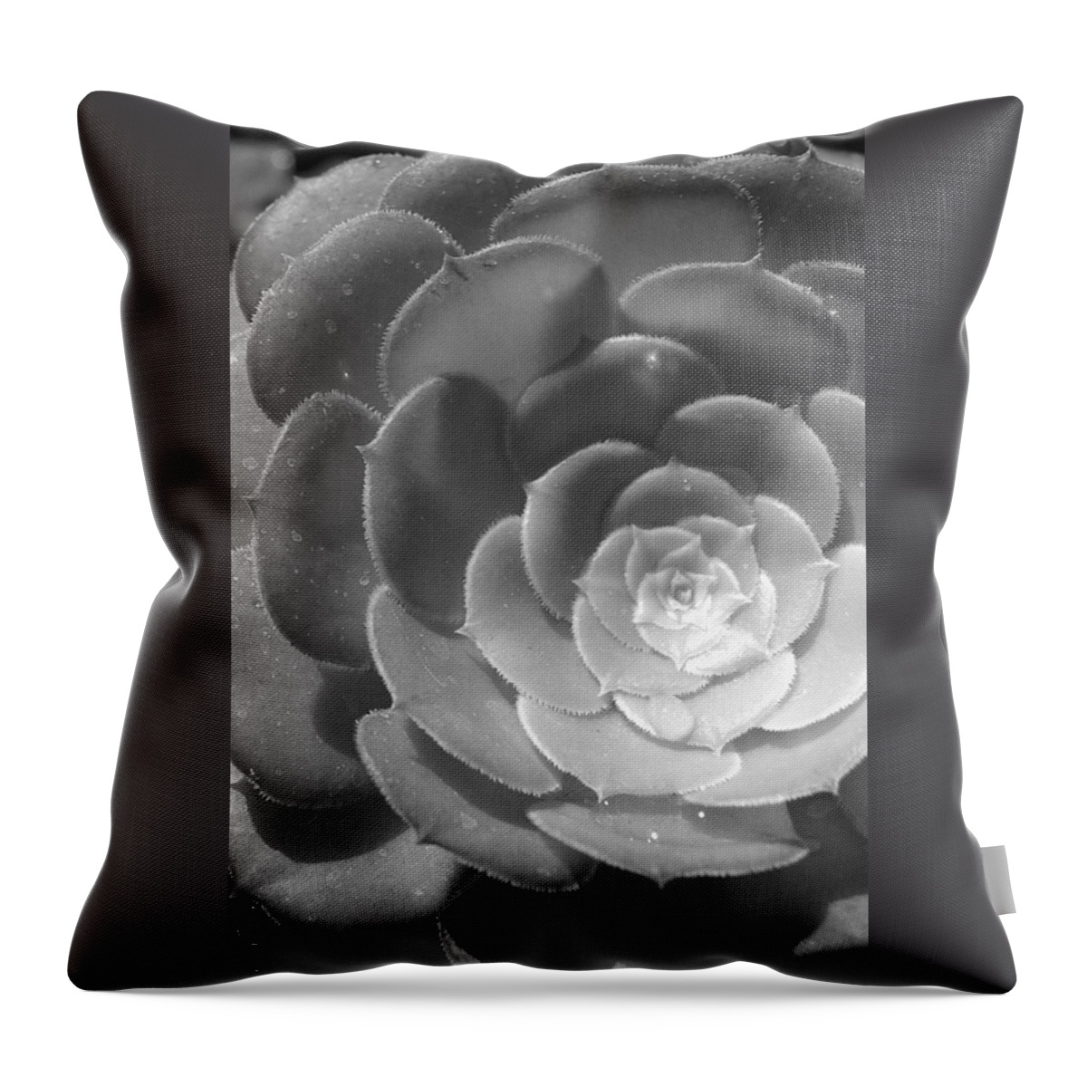 Flower Throw Pillow featuring the photograph Blackand White Cabbage Cactus by Amy Fose