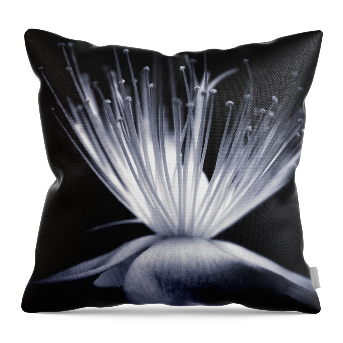 Art Throw Pillow featuring the photograph Blaze by Dorit Fuhg