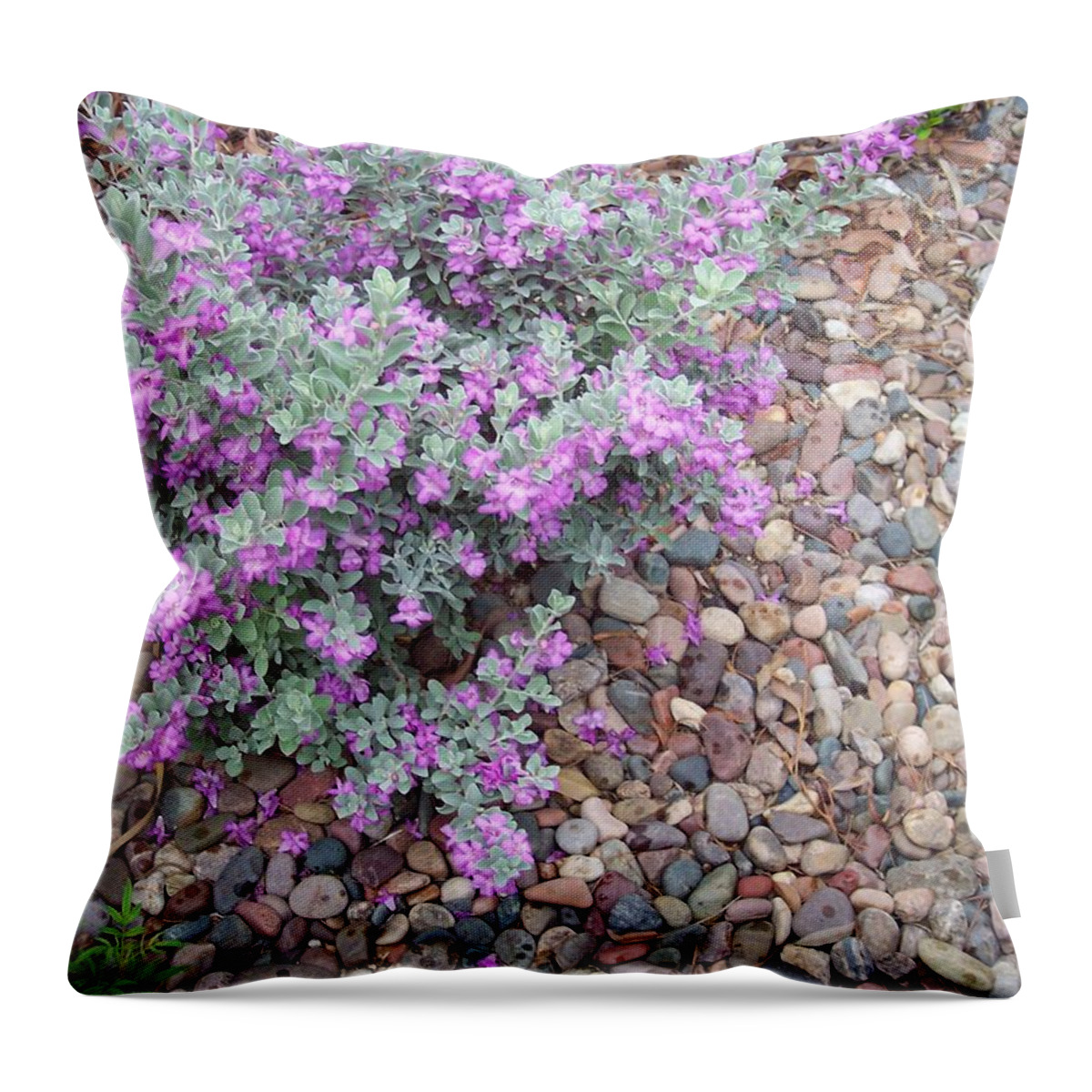 Flowers Throw Pillow featuring the painting Blooms by Mordecai Colodner