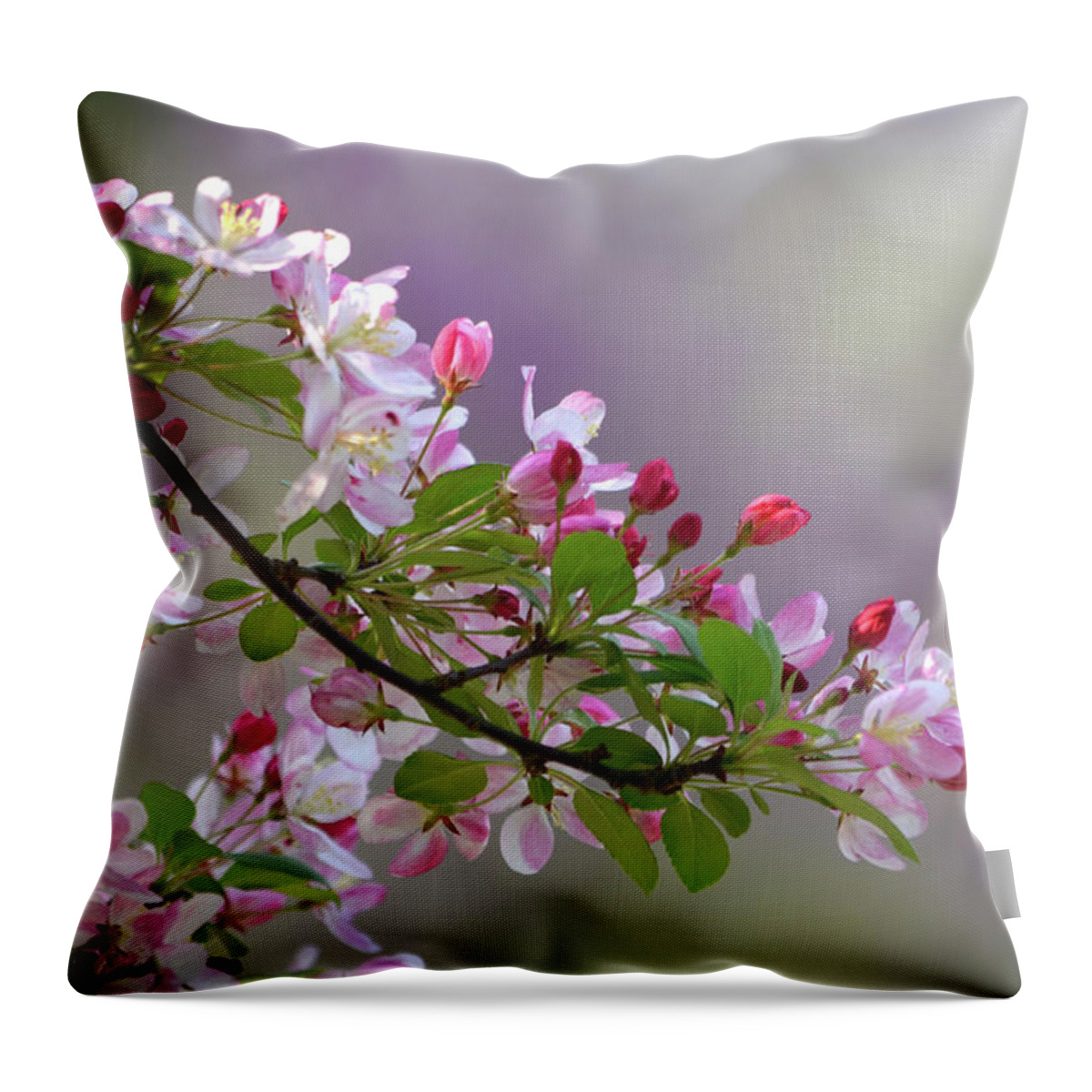 Flower Throw Pillow featuring the photograph Blossoms and Bokeh by Ann Bridges