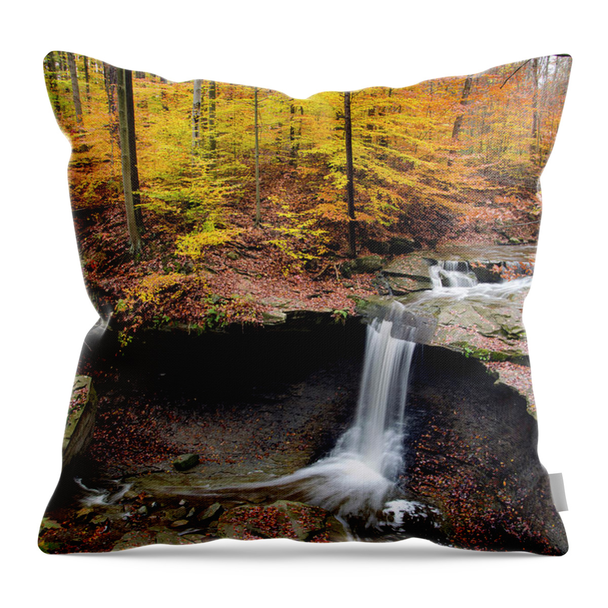 Ohio Throw Pillow featuring the photograph Blue Hen Falls 2 by Ann Bridges