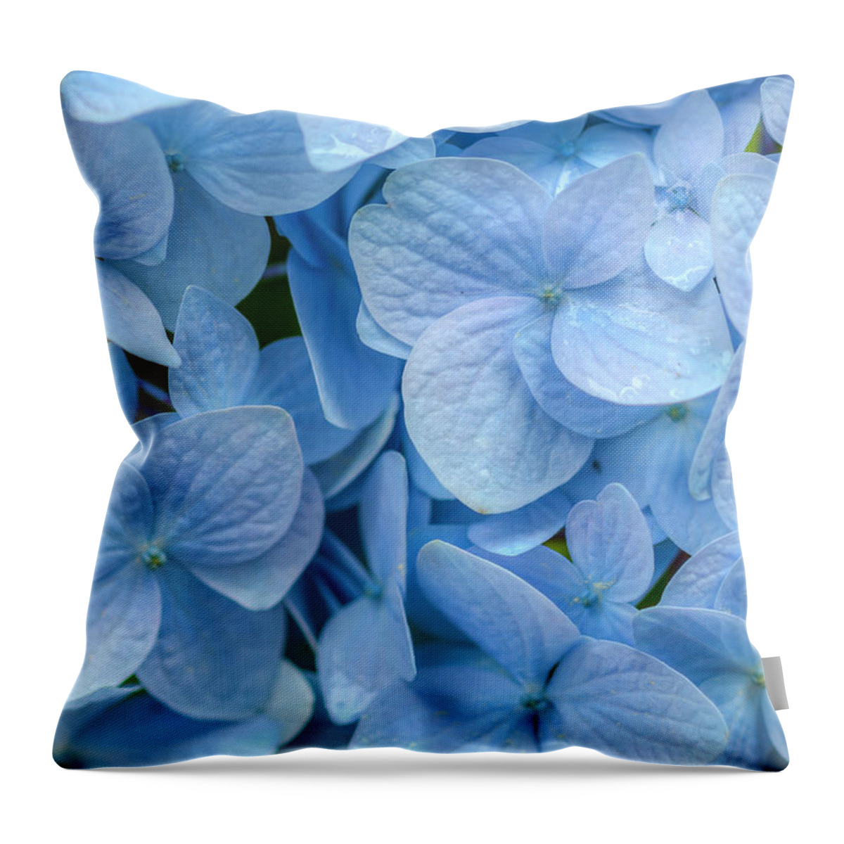 Hydrangea Throw Pillow featuring the photograph Blue Cluster by Kristina Rinell