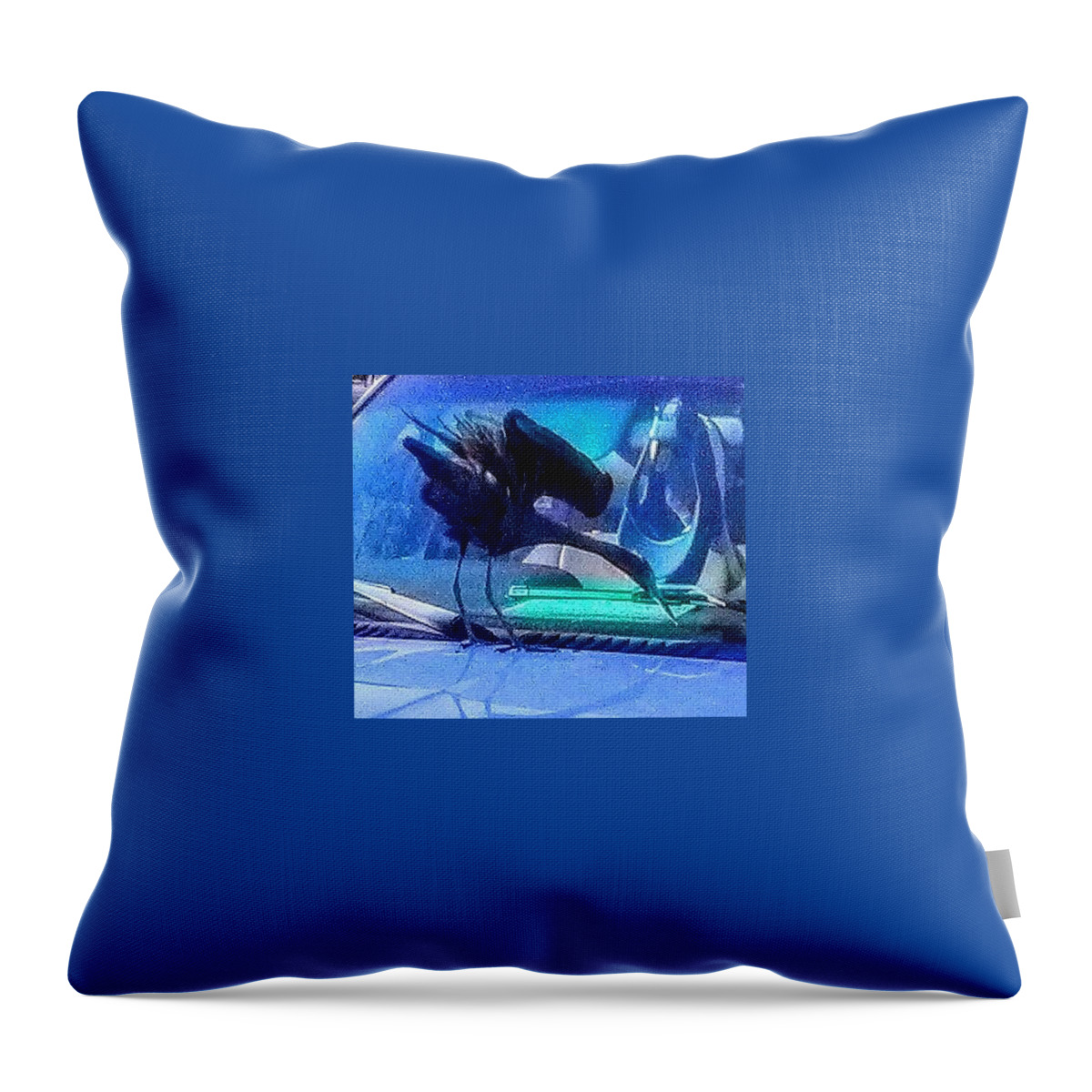 Bird Throw Pillow featuring the photograph Blue Heron Before Takeoff by Suzanne Berthier