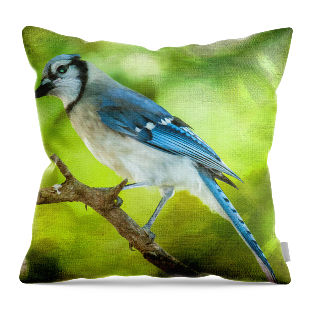 Bird Throw Pillow featuring the photograph Blue Jay by Cathy Kovarik