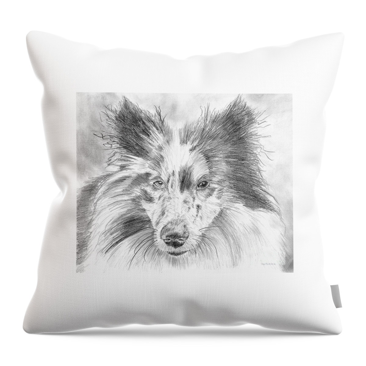 Schooner Throw Pillow featuring the painting Blue Merle Sheltie Graphite Drawing by Amy Kirkpatrick