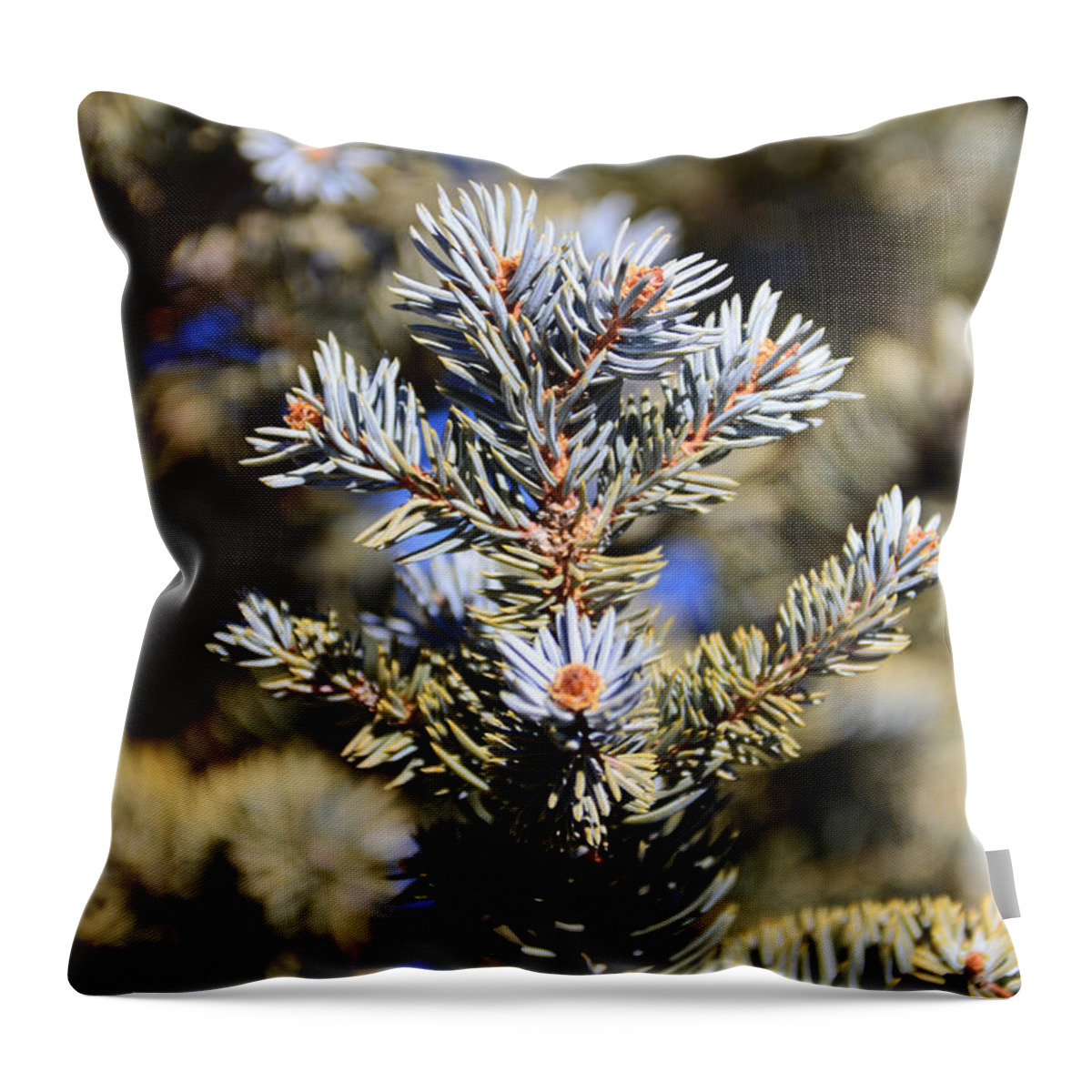  Yellow Throw Pillow featuring the photograph Blue needles by Robert WK Clark