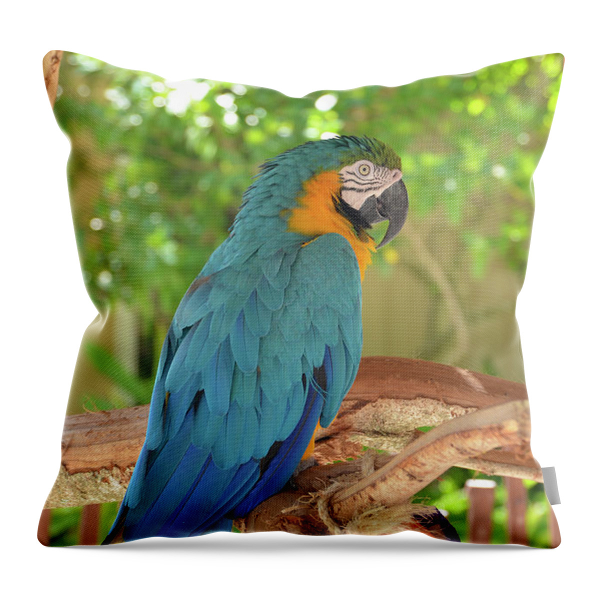 Parrot Throw Pillow featuring the photograph Blue Parrot with a Toy by Artful Imagery