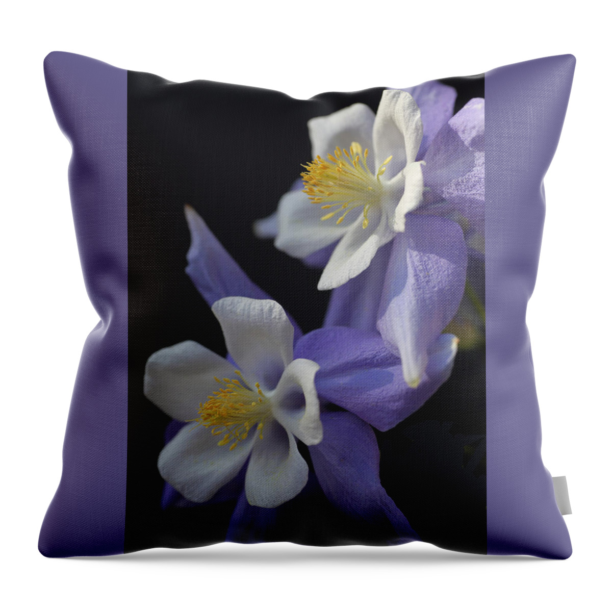 Blue Throw Pillow featuring the photograph Blue Swan Columbine by Tammy Pool