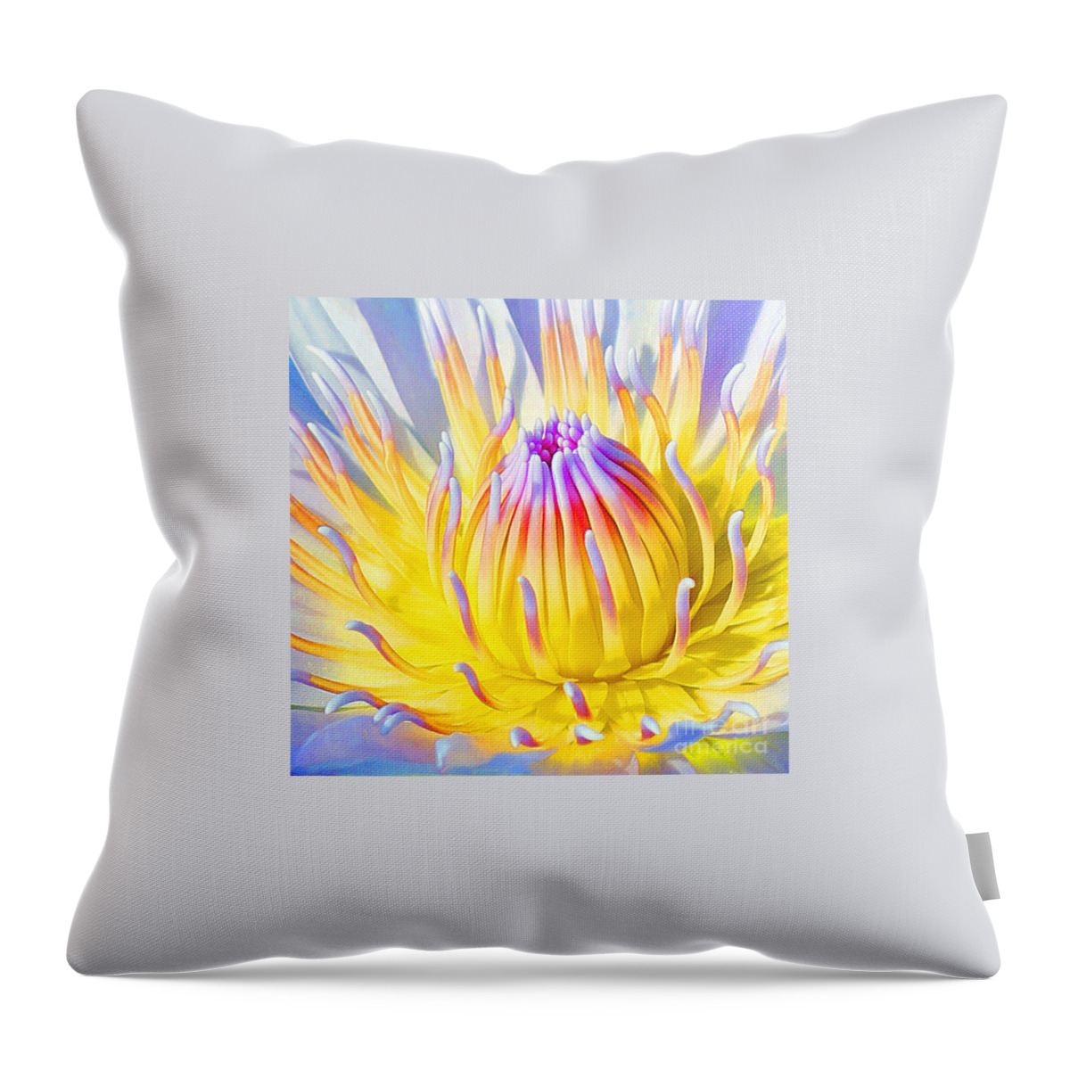  Blue Lotuses Throw Pillow featuring the photograph Blue Yellow Lily by Jennifer Robin