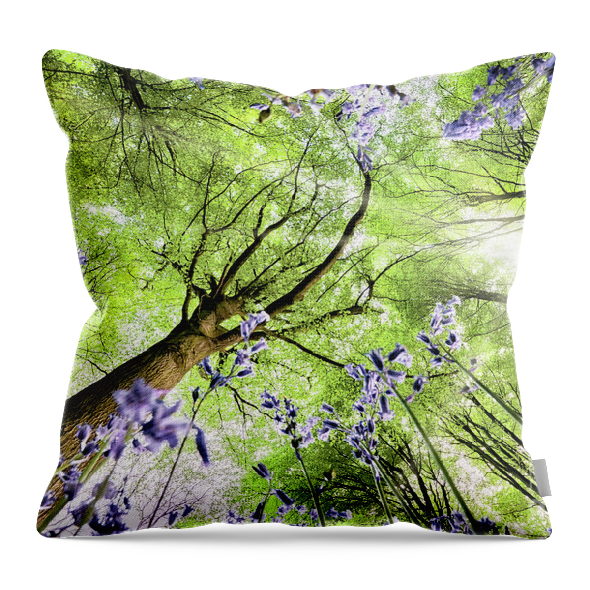 Flowers Throw Pillow featuring the photograph Bluebells from worms eye view by Simon Bratt