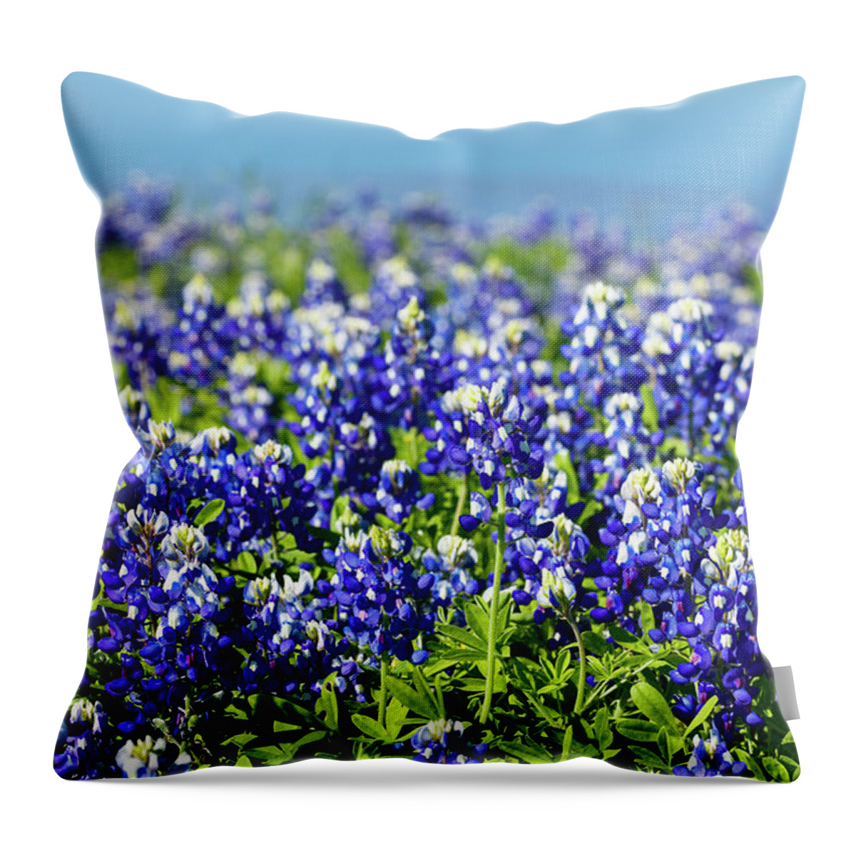 Austin Throw Pillow featuring the photograph Bluebonnets by Raul Rodriguez
