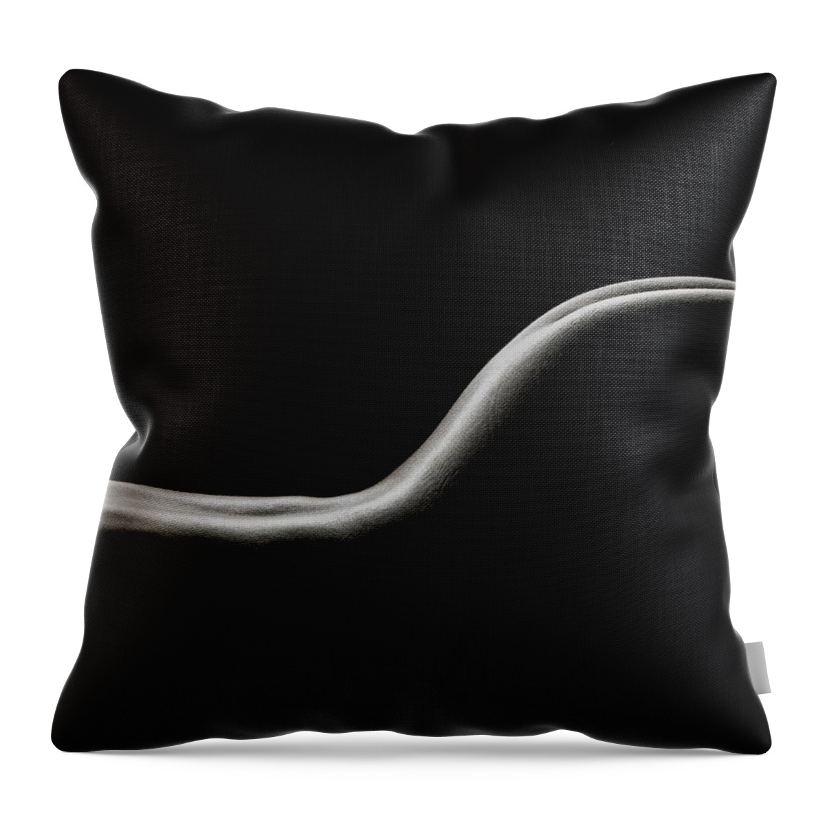 Nude Throw Pillow featuring the photograph Bodyscape 230 V2 by Michael Fryd