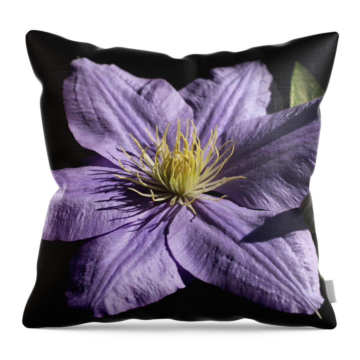 Abundant Throw Pillow featuring the photograph Bonanza Clematis by Tammy Pool