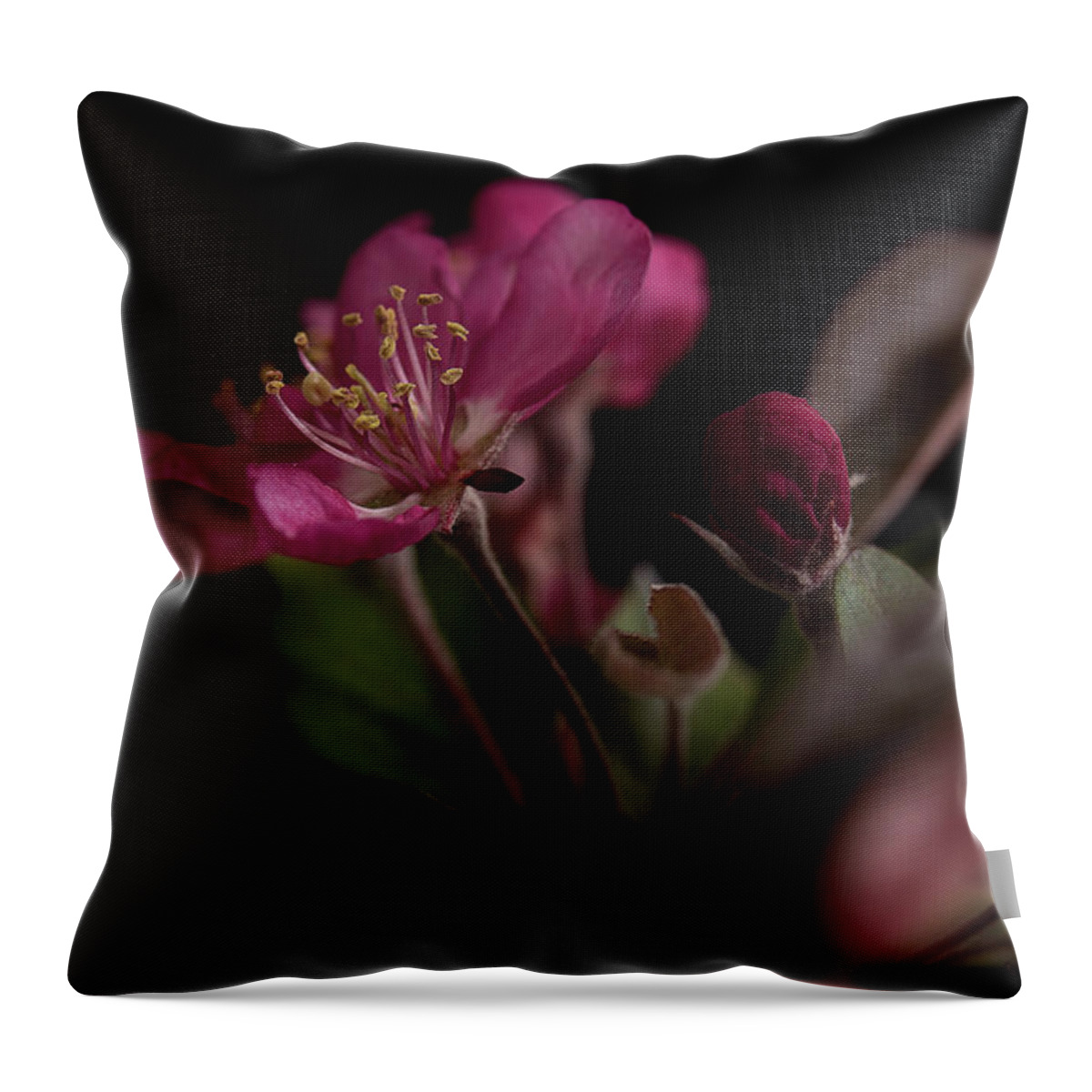 Flower Throw Pillow featuring the photograph Born Again by Mike Eingle