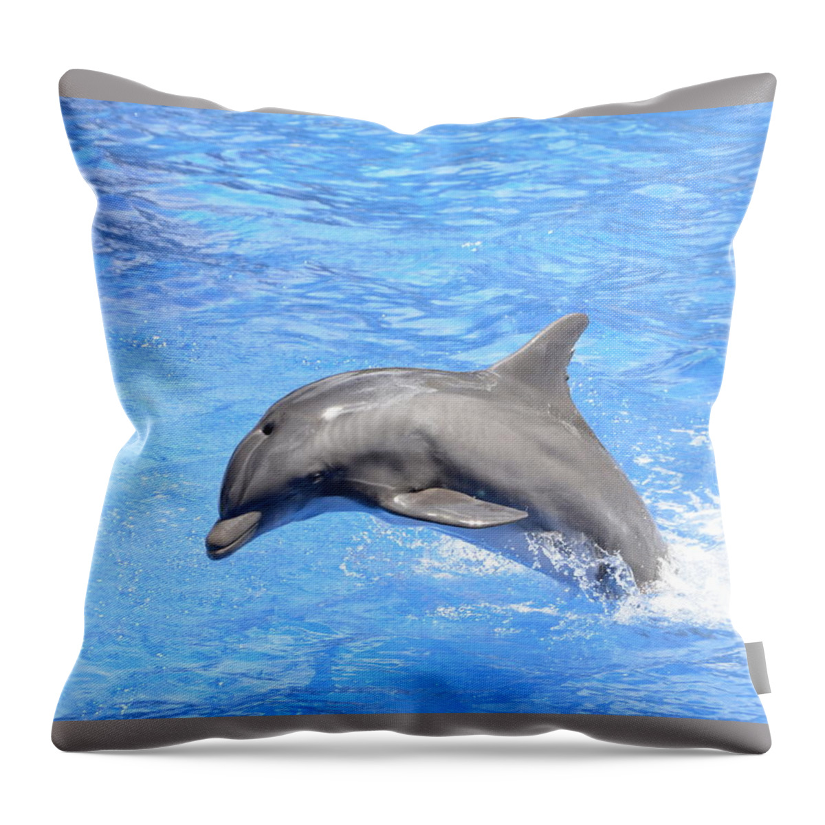Dolphin Throw Pillow featuring the photograph Bottlenose Dolphin Jumping in Pool by Artful Imagery