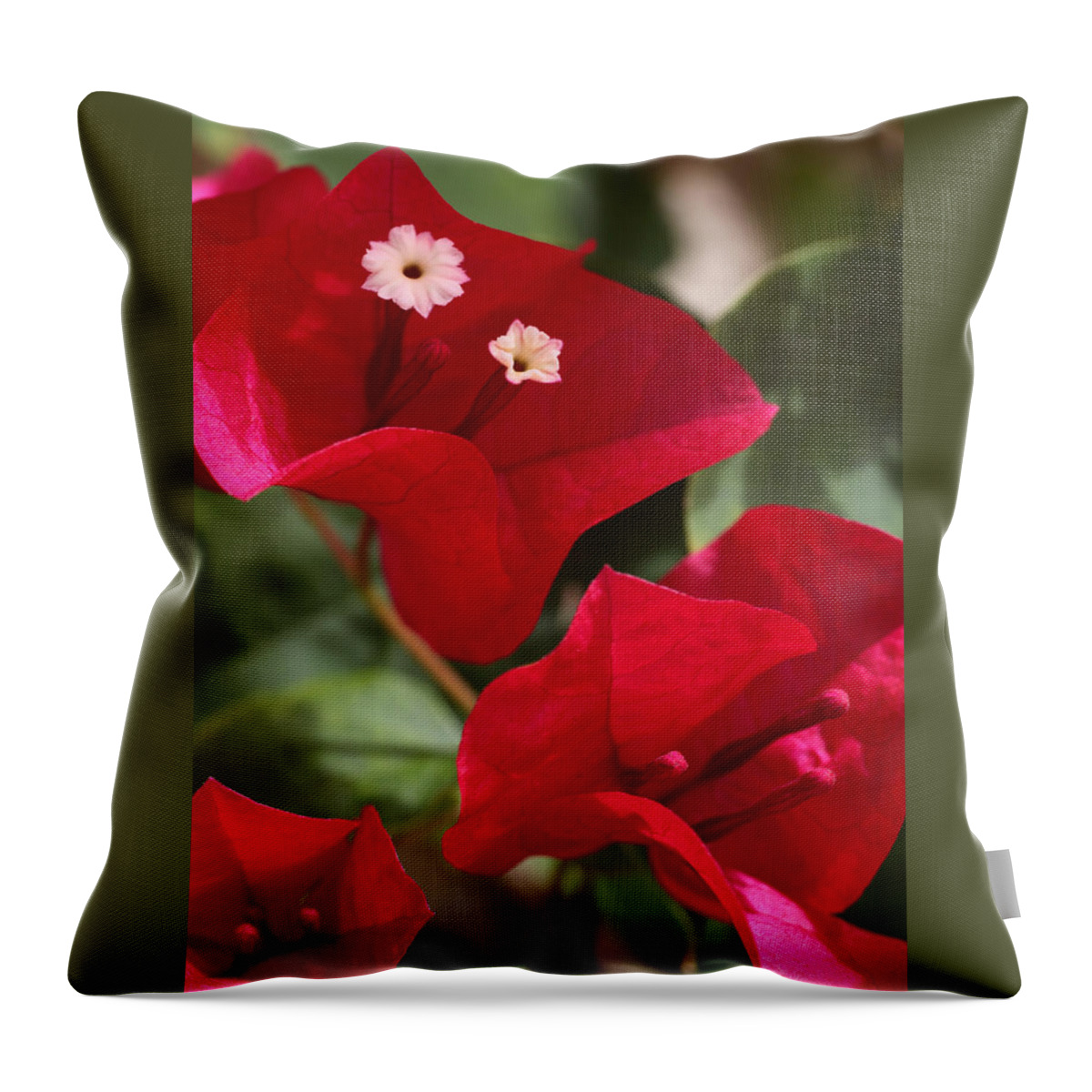 Flower Throw Pillow featuring the photograph Bougainvillea by Tammy Pool