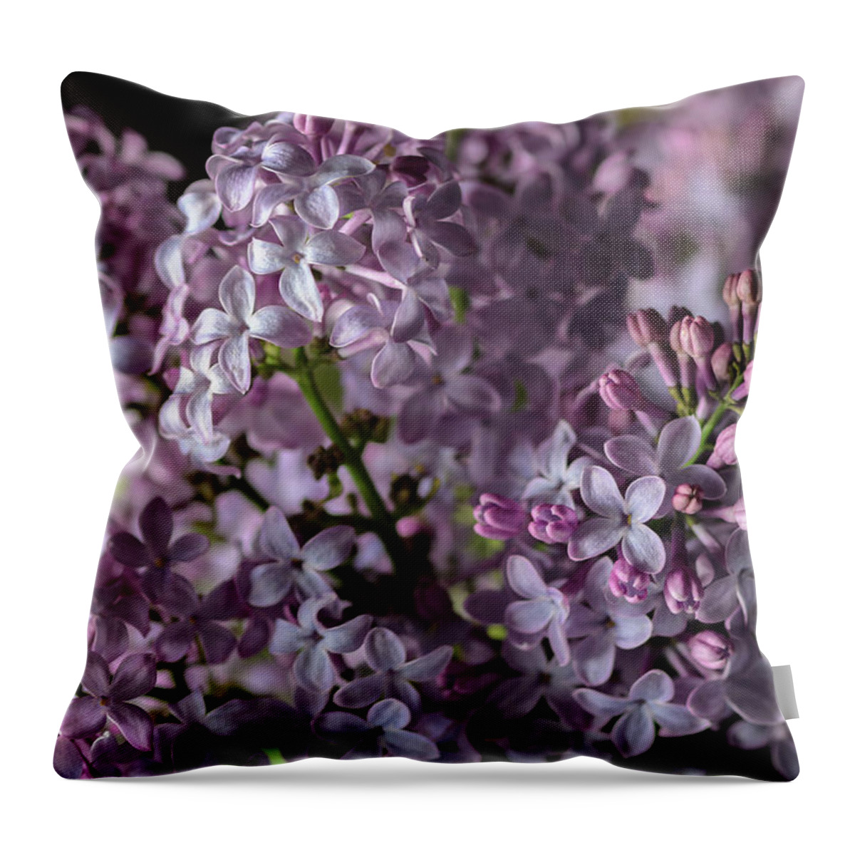 Lilacs Throw Pillow featuring the photograph Bouquet of Lilacs II by Tamara Becker