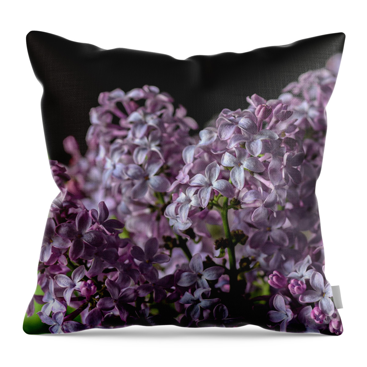 Lilacs Throw Pillow featuring the photograph Bouquet of Lilacs by Tamara Becker