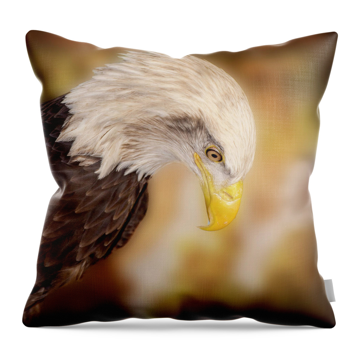 Bald Eagle Throw Pillow featuring the photograph Bow Your Head and Prey by Bill and Linda Tiepelman