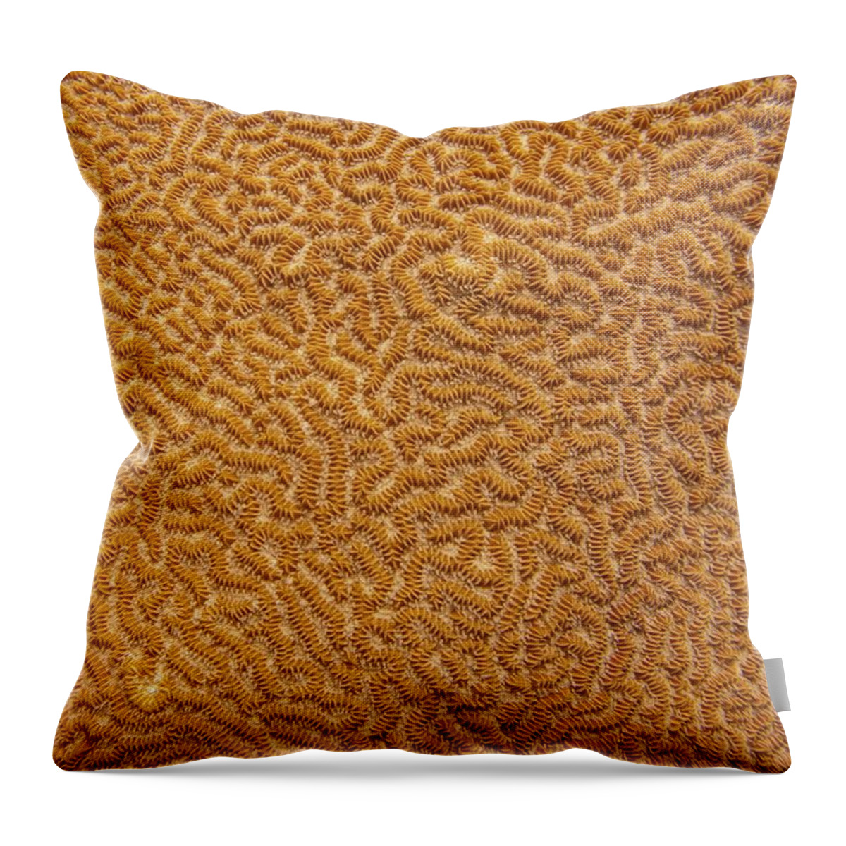 Texture Throw Pillow featuring the photograph Brain Coral 47 by Michael Fryd
