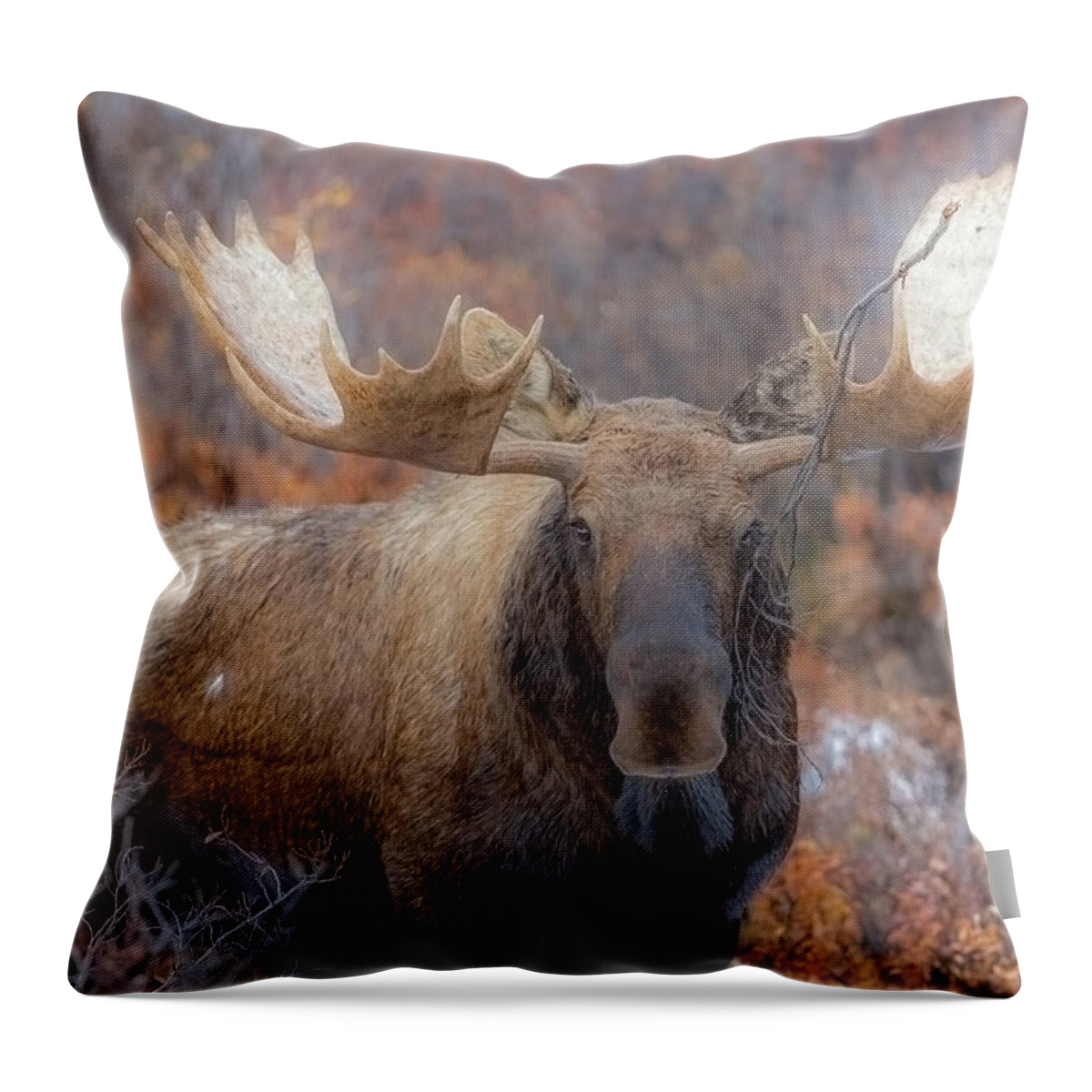 Alaska Throw Pillow featuring the photograph Branch Breaker by Kevin Dietrich