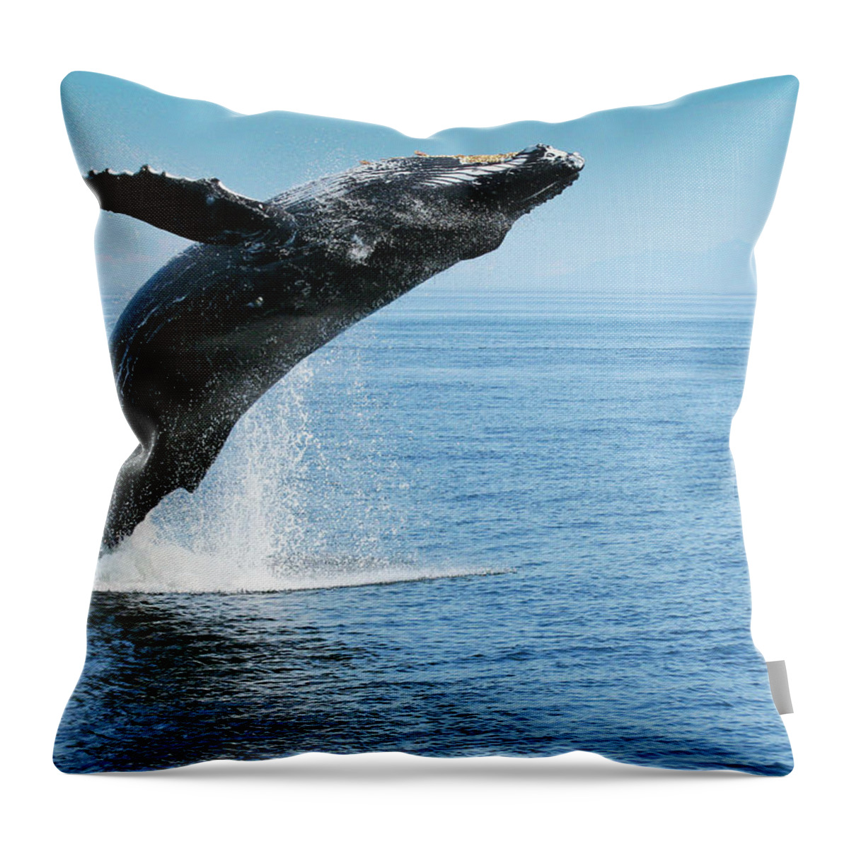 Alaska Throw Pillow featuring the photograph Breaching Humpback Whale by Dorothy Darden