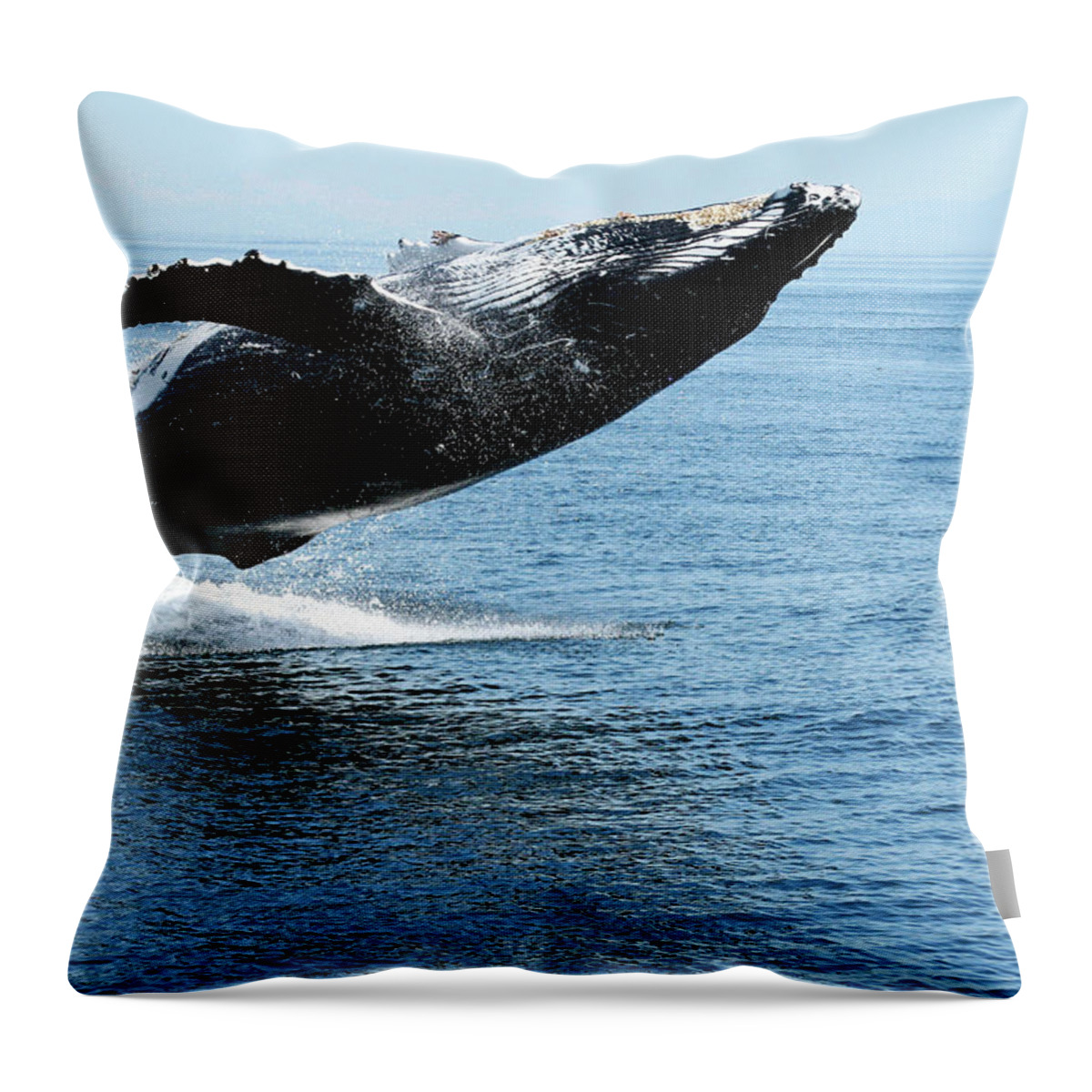 Alaska Throw Pillow featuring the photograph Breaching humpback whales Happy-2 by Steve Darden