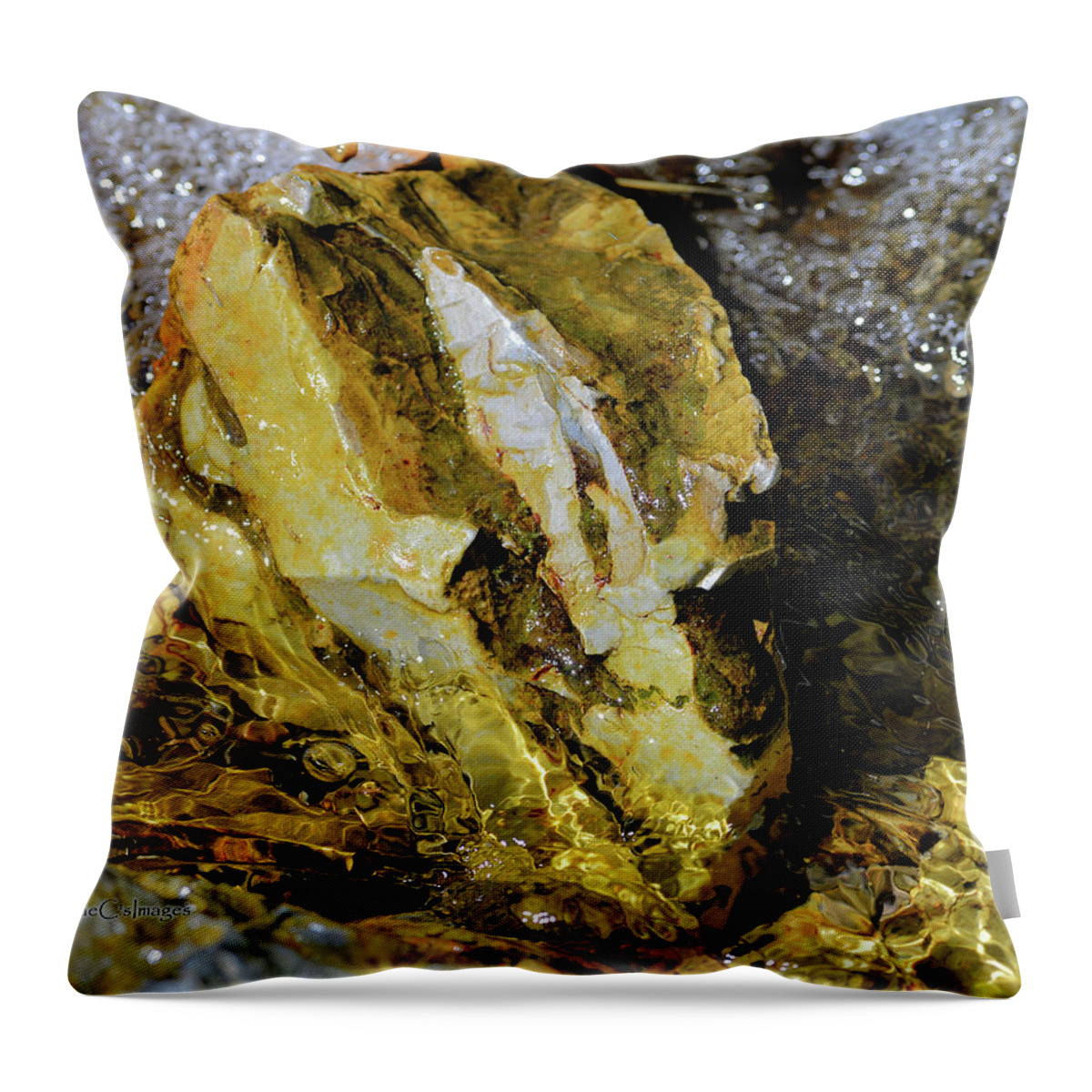 Rock Throw Pillow featuring the photograph Bright Rock in Stream by Kae Cheatham