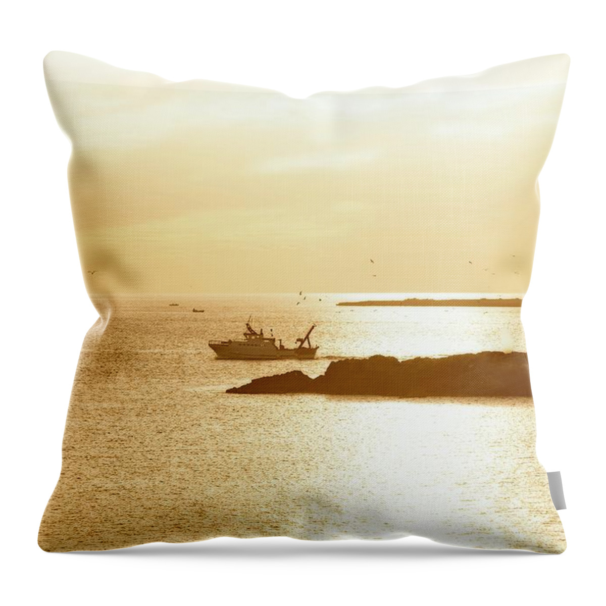 Landscape Throw Pillow featuring the photograph Bringing The Days Catch by Allan Van Gasbeck