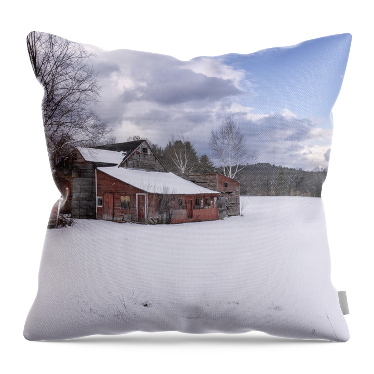Williamsville Vermont Throw Pillow featuring the photograph Brookline Winter by Tom Singleton
