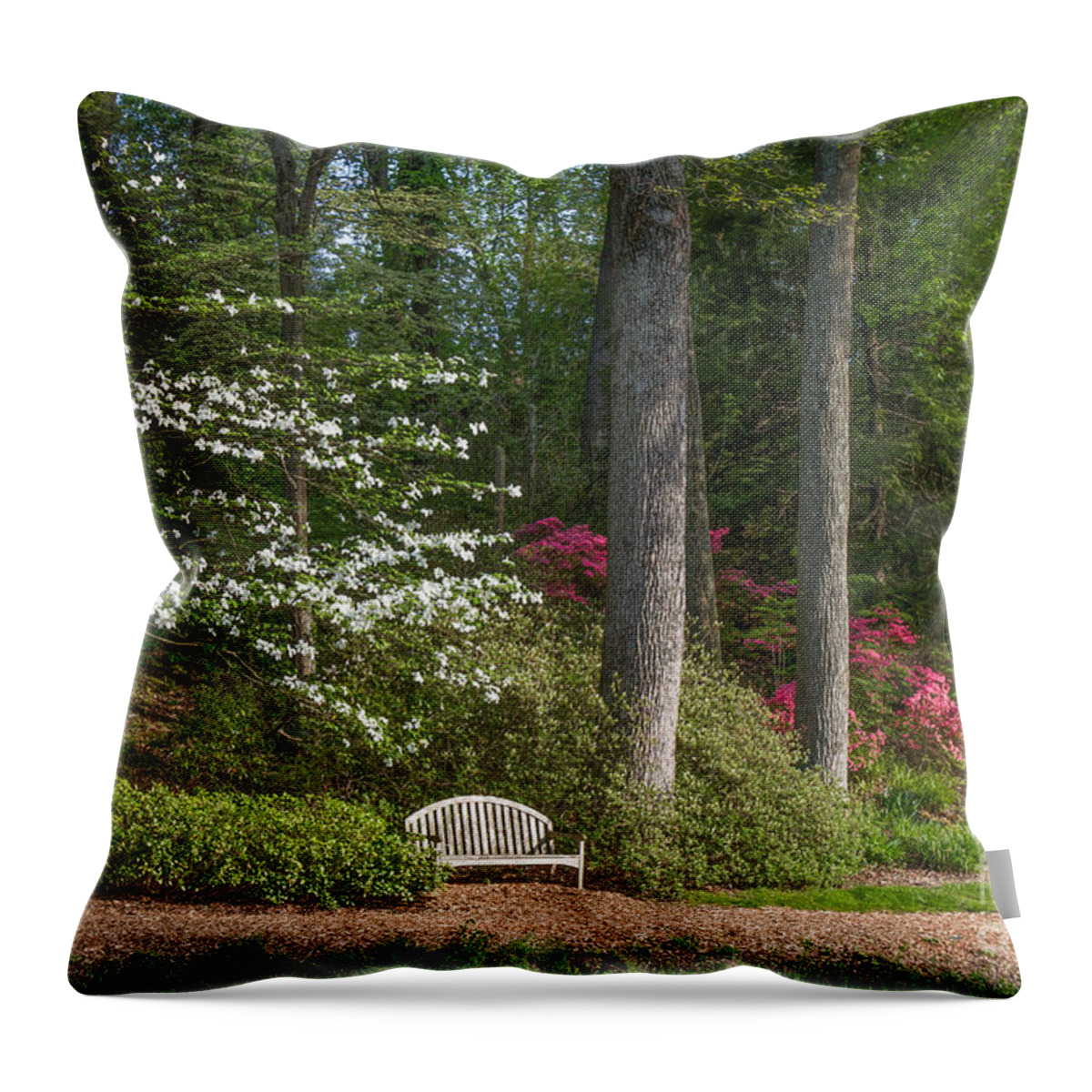 Spring Landscapes Throw Pillow featuring the photograph Brookside Gardens 7 by Chris Scroggins