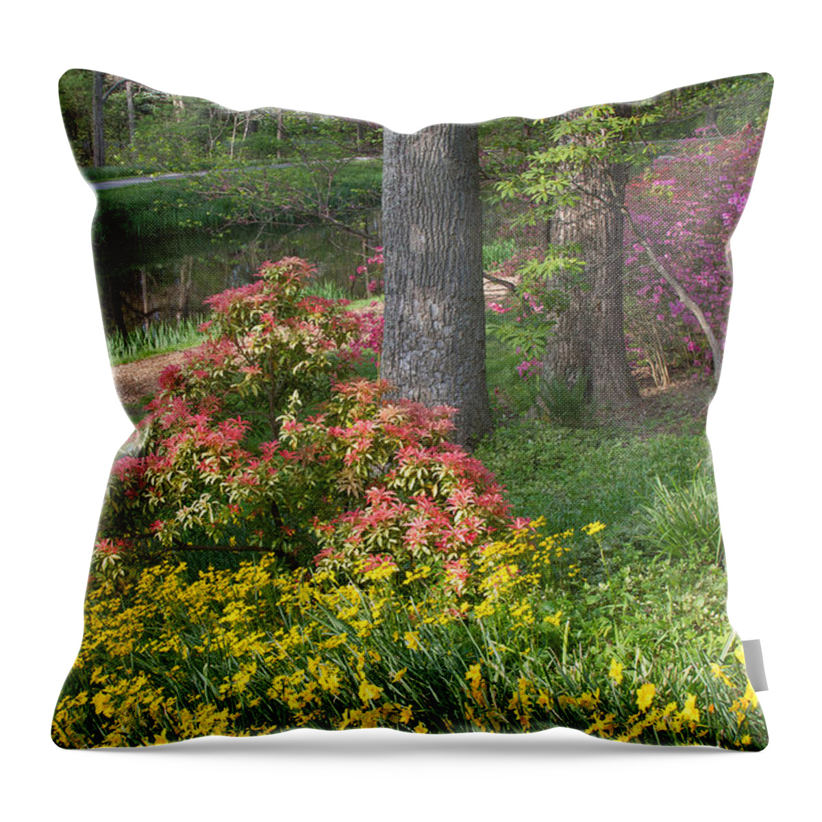 Spring Landscapes Throw Pillow featuring the photograph Brookside Gardens 8 by Chris Scroggins