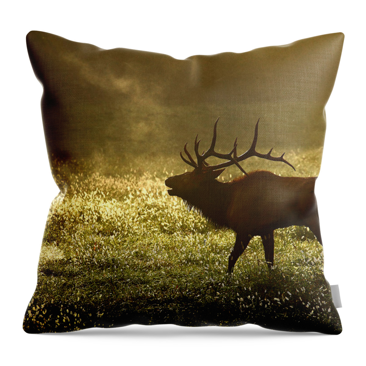 Bull Elk Throw Pillow featuring the photograph Bugling Elk in November Sunrise by Michael Dougherty