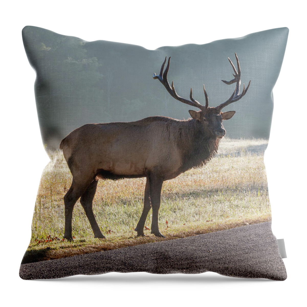 Bull Throw Pillow featuring the photograph Bull Elk Watching by D K Wall