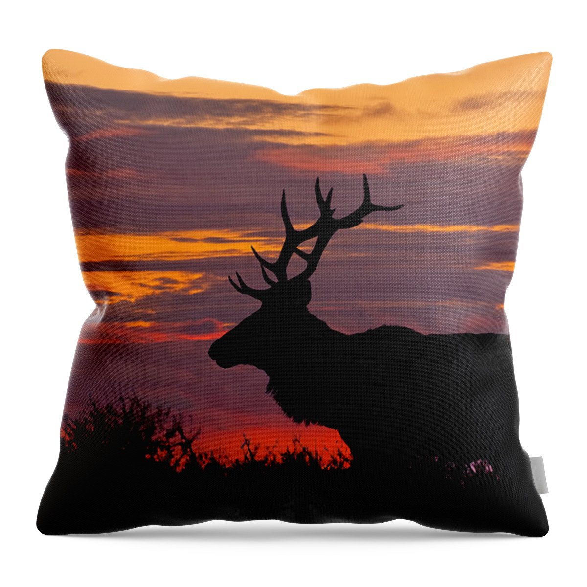 Animal Throw Pillow featuring the photograph Bull Tule Elk Silhouetted at Sunset by Jeff Goulden