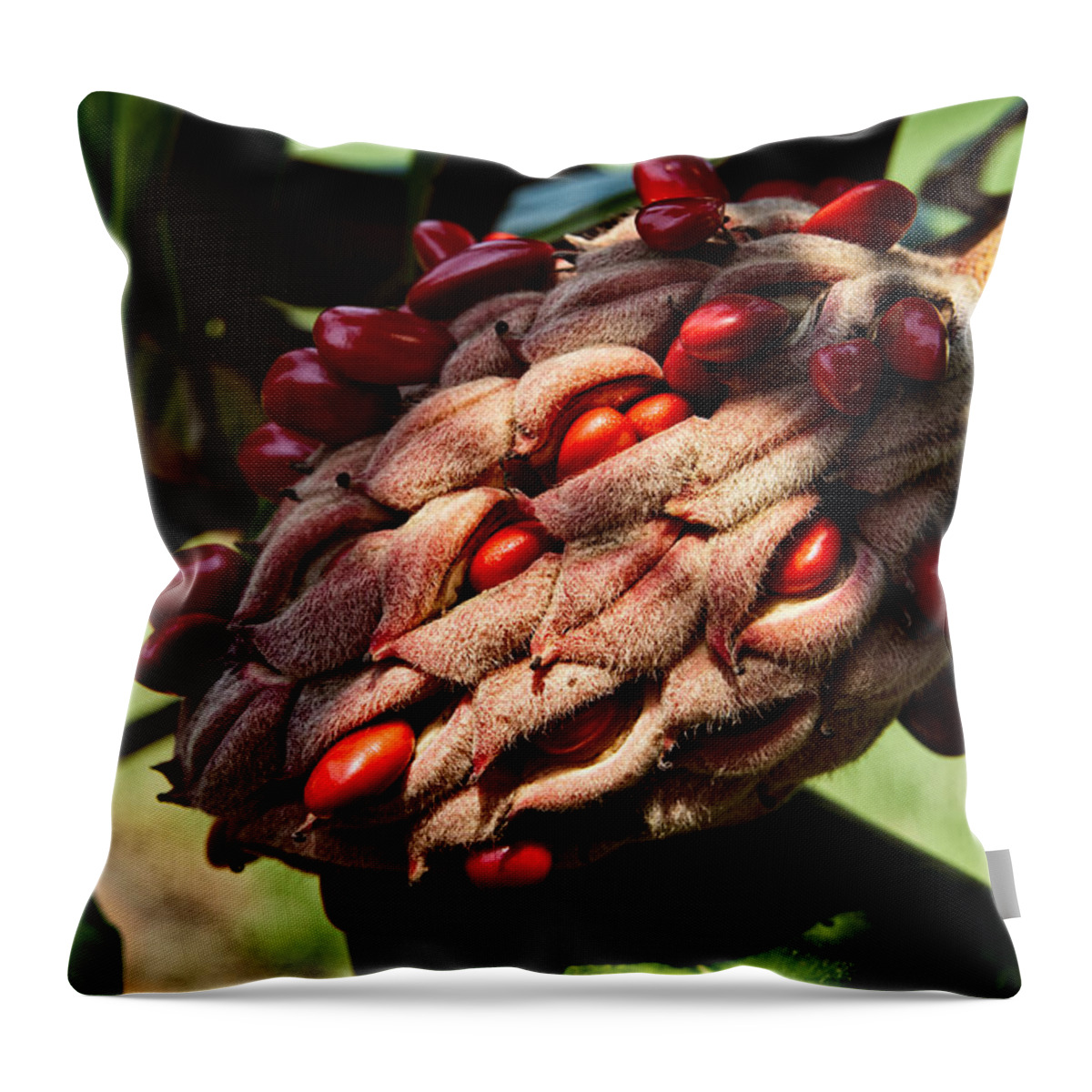 Seed Throw Pillow featuring the photograph Bursting Forth by Christopher Holmes