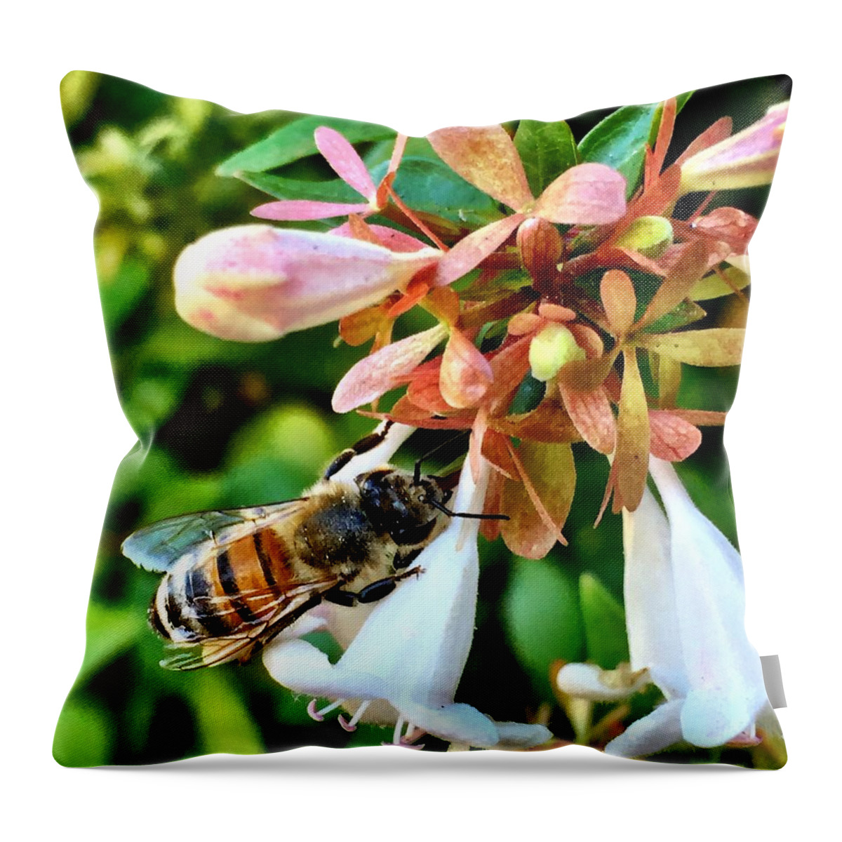 Bee Throw Pillow featuring the photograph Busy As a Bee by Brad Hodges