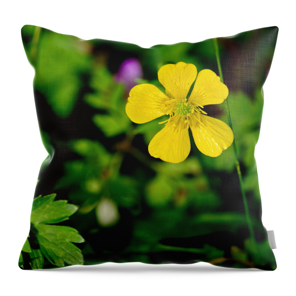 Buttercups Throw Pillow featuring the photograph Buttercup. Opus One. by Elena Perelman