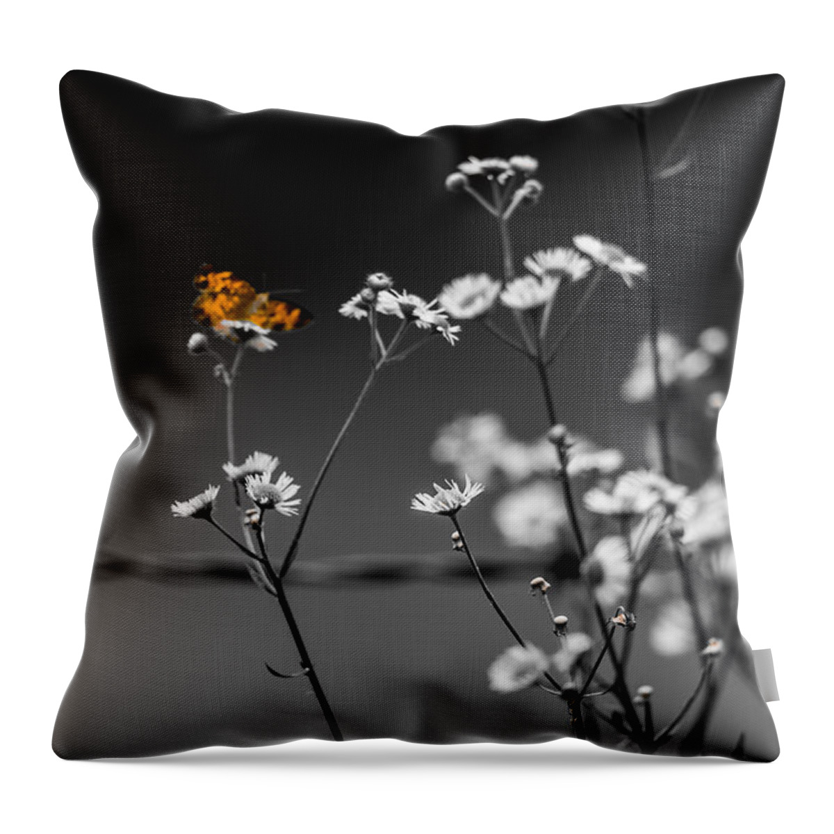 Butterfly Throw Pillow featuring the photograph Butterfly and Barb Wire by Holden The Moment