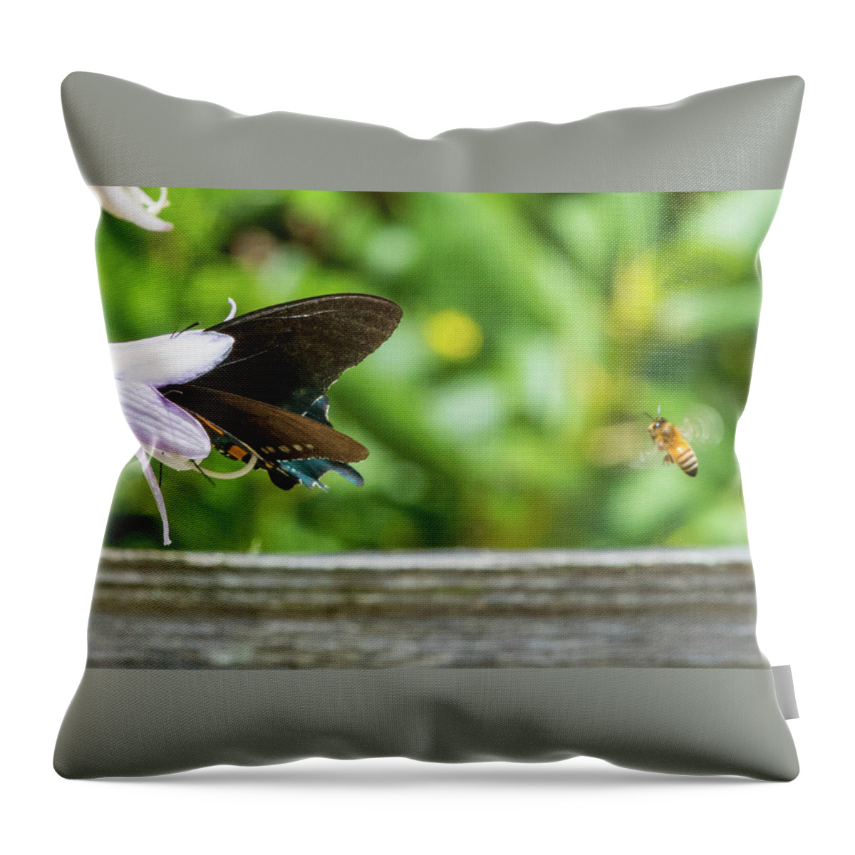 Butterfly Throw Pillow featuring the photograph Butterfly and Bee by D K Wall