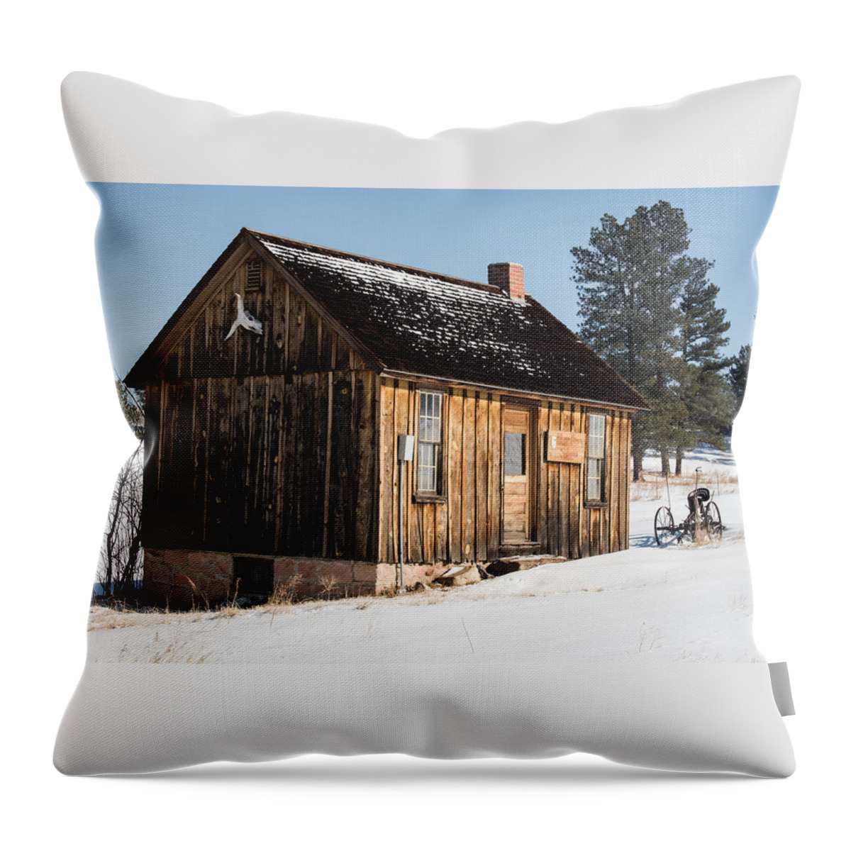 Abandoned Throw Pillow featuring the photograph Cabin In The Snow by Art Atkins