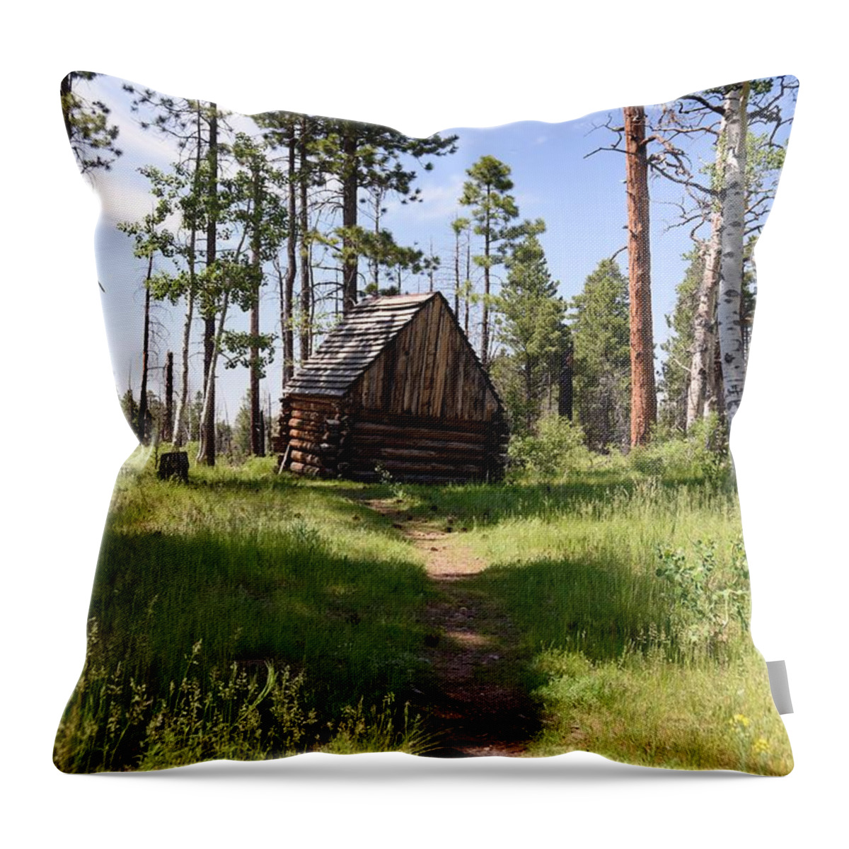 Photograph Throw Pillow featuring the photograph Cabin in the Woods by Richard Gehlbach