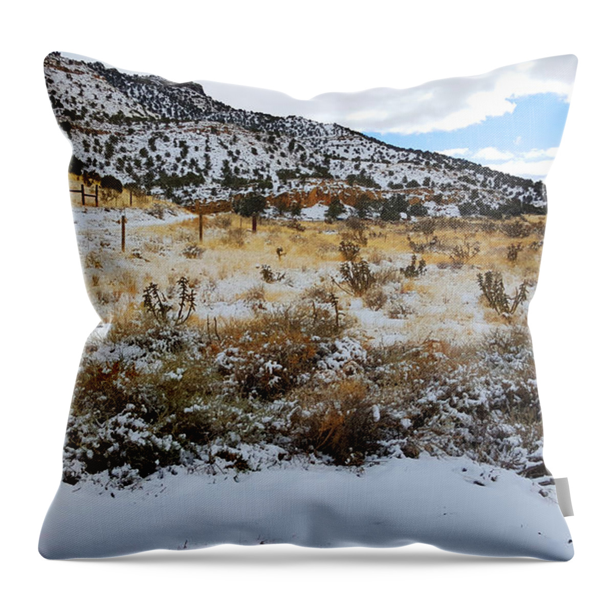 Southwest Landscape Throw Pillow featuring the photograph Cactus in the snow by Robert WK Clark